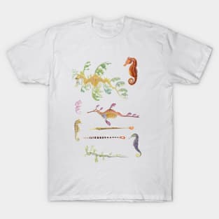 Syngnathidae Party T-Shirt